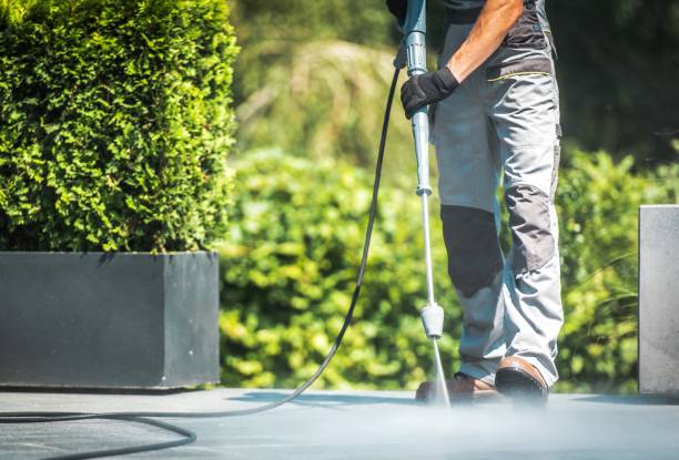 Best House Exterior Washing  in Long Valley, NJ